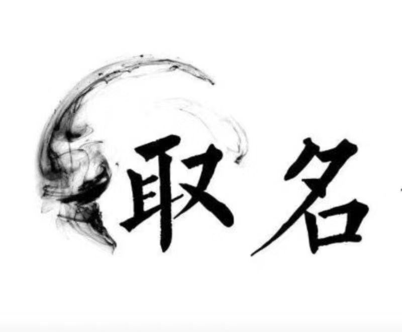  蒙自宝宝取名 大师一对一人工起名